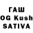 Каннабис White Widow raimo brunning