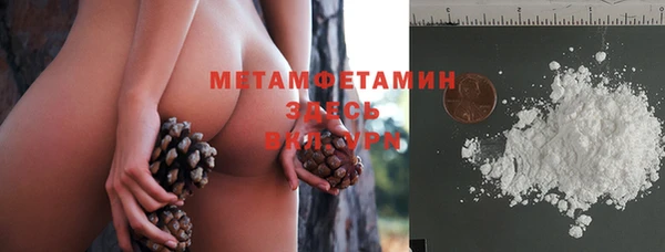 ПСИЛОЦИБИНОВЫЕ ГРИБЫ Лагань