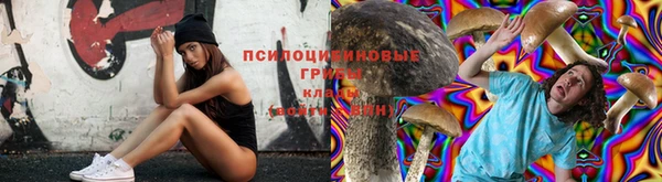 ПСИЛОЦИБИНОВЫЕ ГРИБЫ Лагань