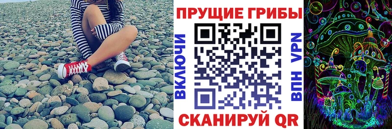 Псилоцибиновые грибы Magic Shrooms  Купить где  Чебоксары 